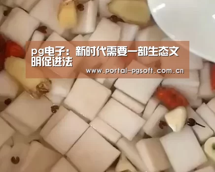 pg电子:新时代需要一部生态文明促进法(图1) pg电子试玩